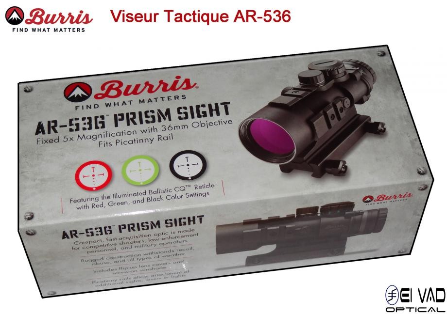 BURRIS AR 536 - Point Rouge Tactique 5x36 (AR536)