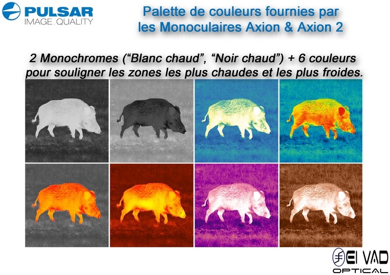 Monoculaire PULSAR à imagerie thermique AXION XG35 Compact